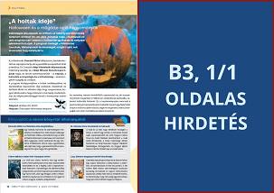 B3 – hátoldal előtti 1/1 oldalas hirdetés – Őrbottyáni Hírmondó